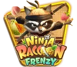 ninja raccoon frenzy